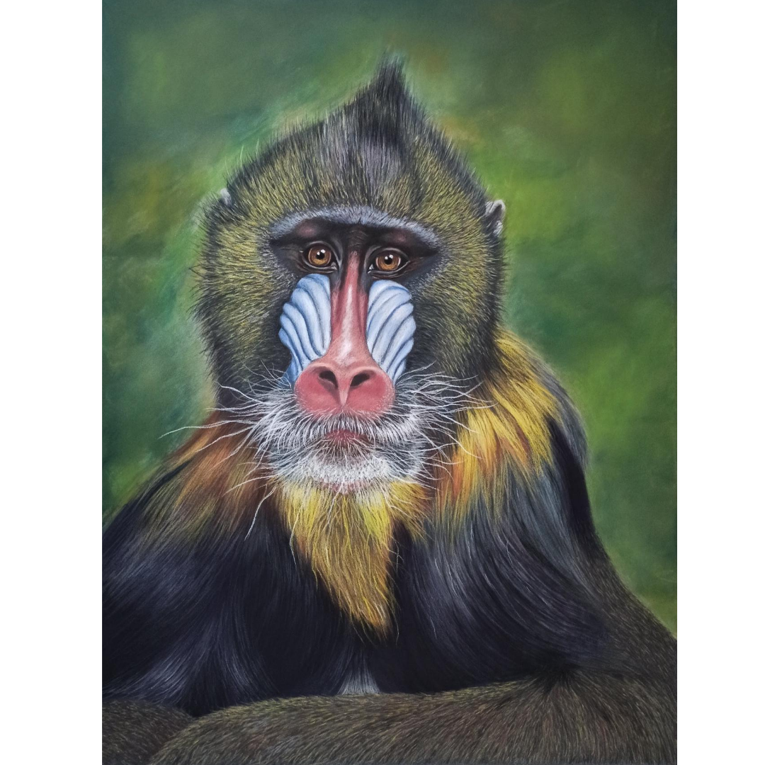 Портрет мандрила