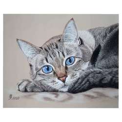 Портрет кота