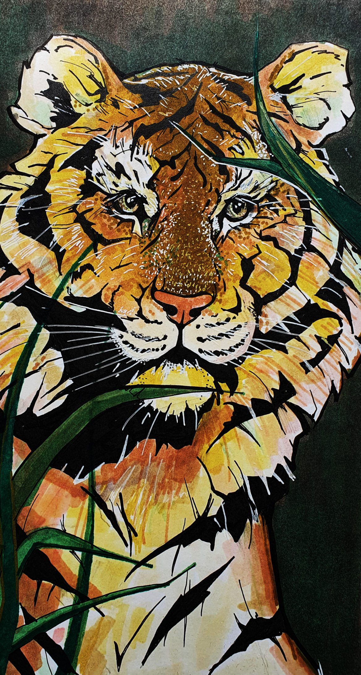 Красавец тигр