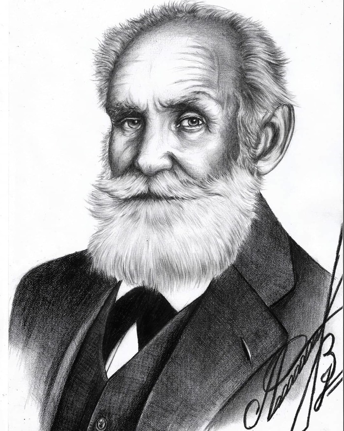 Павлов е п. Портрет Павлова Ивана Петровича. Павлов физиолог.