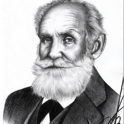 Павлов И. П.