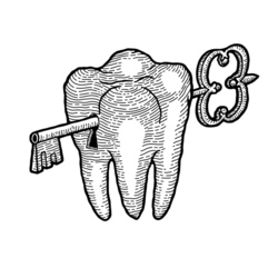 Зуб с ключом в гравюрном стиле