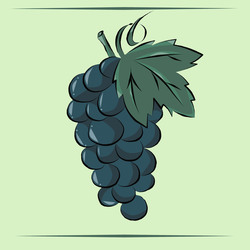 Цветная иллюстрация: Виноград