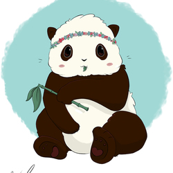 Art Panda Girl, Арт Девочка Панда 🐼