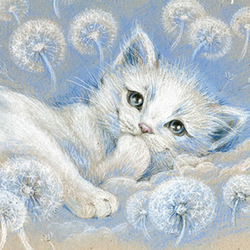 белый котёнок