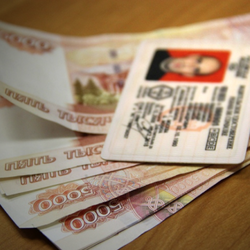  Где сегодня возможно купить водительские права?