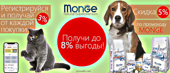 Качественная и недорогая продукция для домашних животных в интернет-магазине «ЗооМаркет»