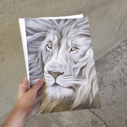 lion