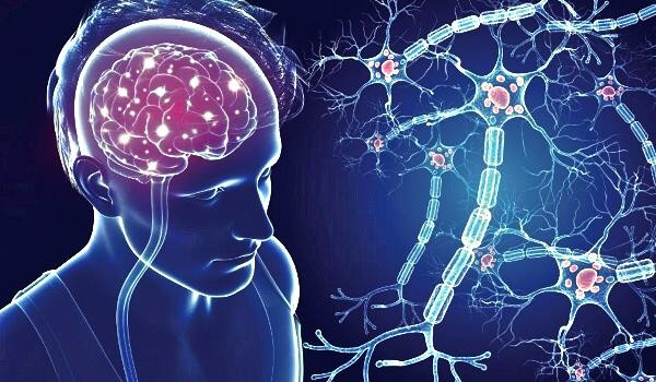 Почему развивается рассеянный склероз и как можно его излечить?