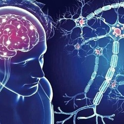  Почему развивается рассеянный склероз и как можно его излечить?