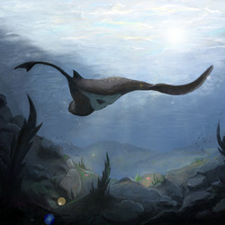 My first drawing on a graphic tablet (2018)