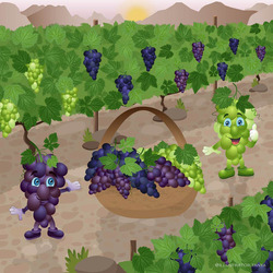 Виноградный бум