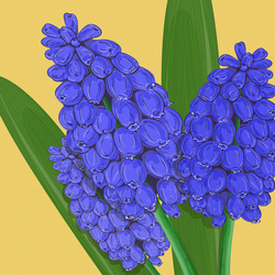 Синий цветок