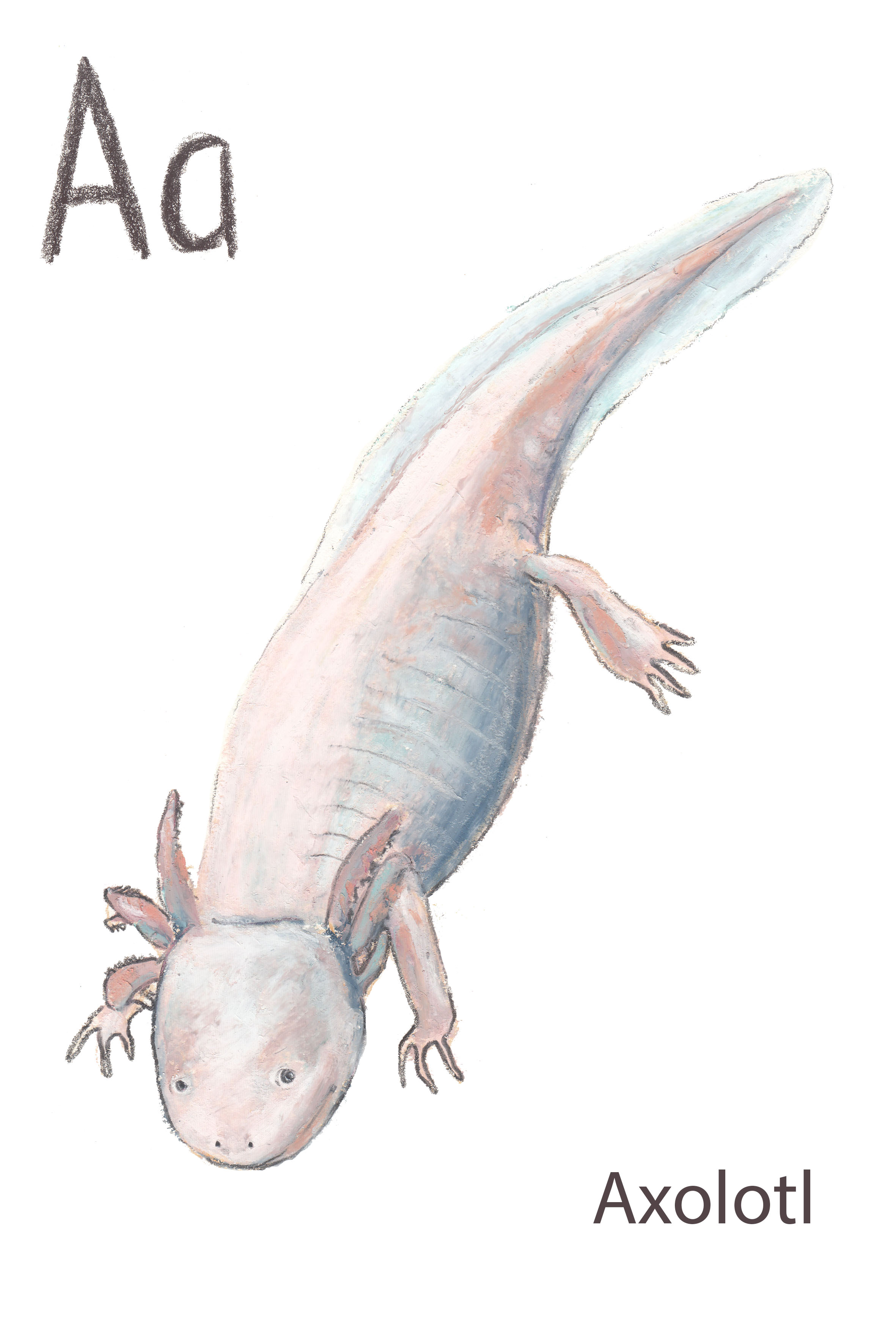 Axolotl стили dota 2 фото 118