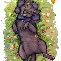 Цветочное поле