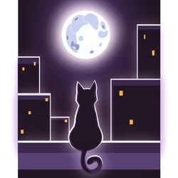 кот и ночь