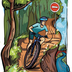 Мой велосипед, мои правила