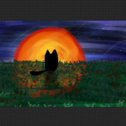 Кот на закате