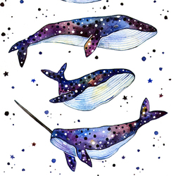 звездные киты