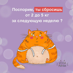 Толстый кот