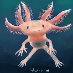 axolotl