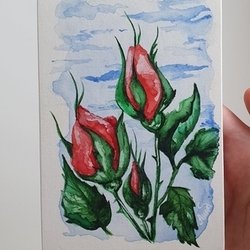 Розы в саду