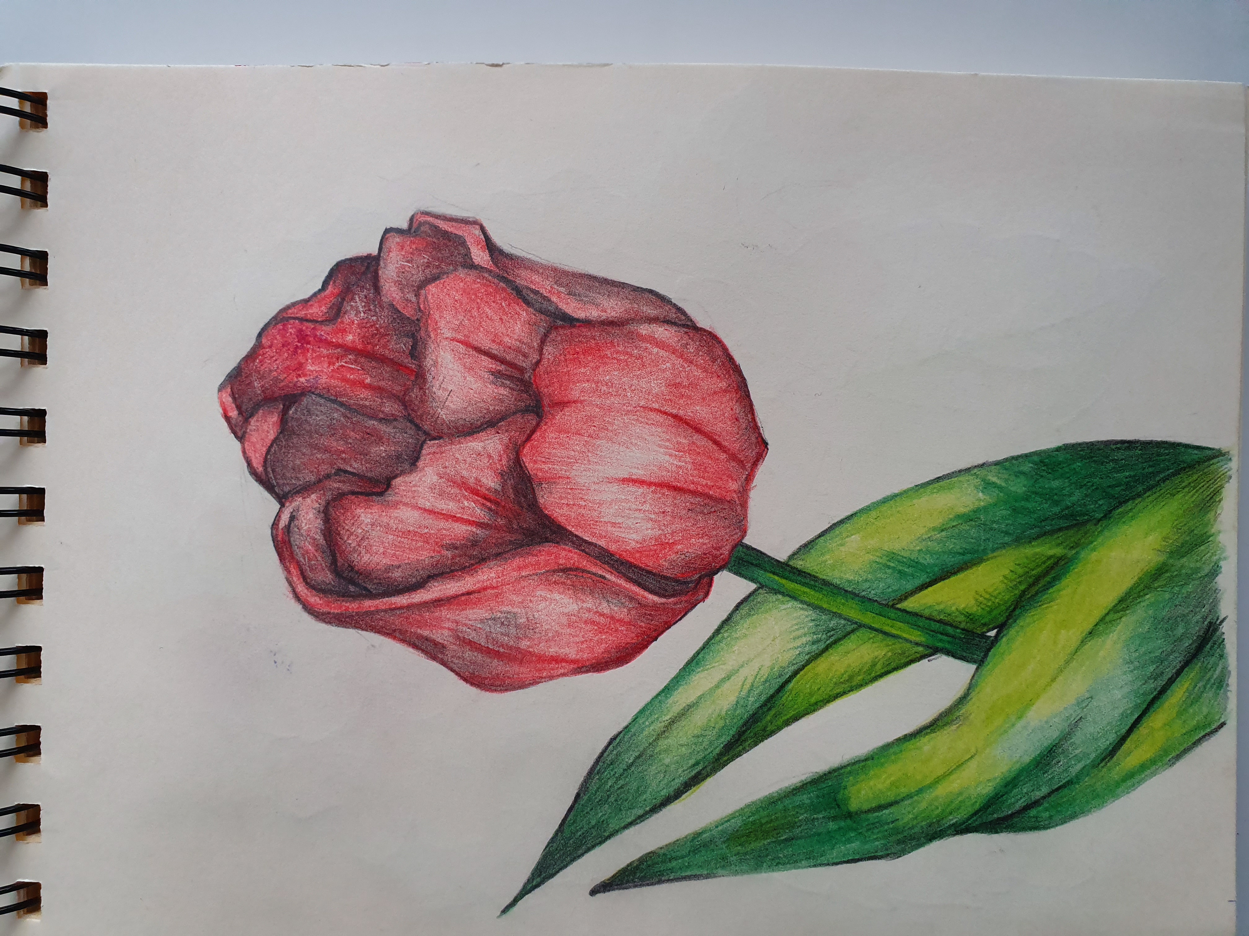 Красный парад