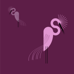 Фламинго