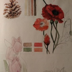 Ботанические зарисовки в скетчбуке (1)