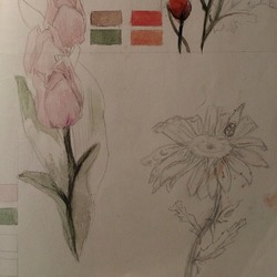 Ботанические зарисовки в скетчбуке (2)