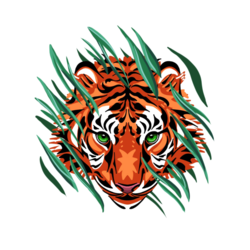 Тигр цветной