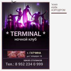 ТЕРМИНАЛ*