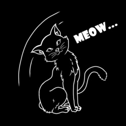 Meow😽