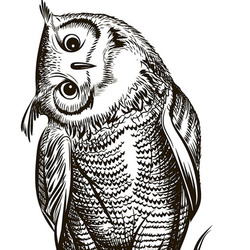 Сова голова на бок