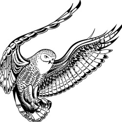 Пикирующий филин