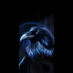 Raven