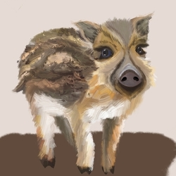 Кабанёныш