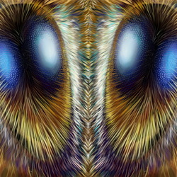 Глаза пчелы