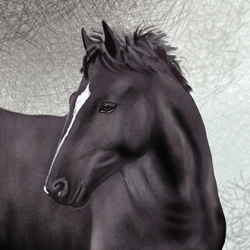 Digital illustration