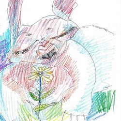 Аленький цветочек