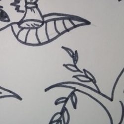 Милая летучая мышь