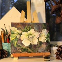 Морозник (лат. Helleborus) во всей красе