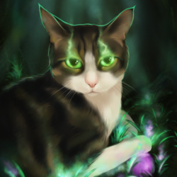 Лесной кот