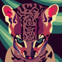 Ocelot