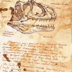 allusaurus skull