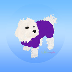 Портрет животного