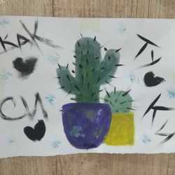 Кактусы