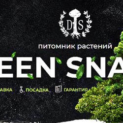  Профессиональное озеленение и благоустройство территорий с компанией «Green Snab»