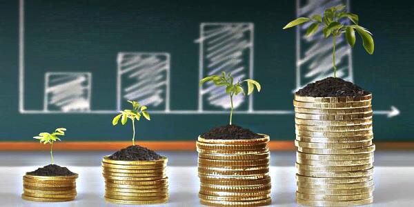 Вся полезная информация об онлайн-бизнесе, заработке в Интернете и инвестициях на сайте «WILHARD»