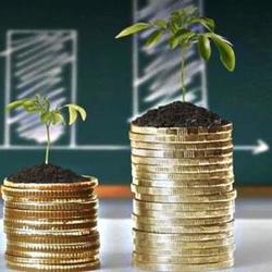   Вся полезная информация об онлайн-бизнесе, заработке в Интернете и инвестициях на сайте «WILHARD»